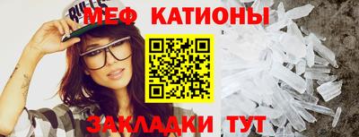 индика Можга