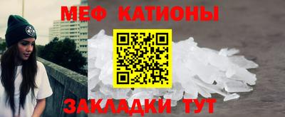 индика Можга
