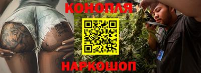 индика Можга