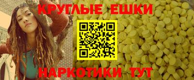 индика Можга