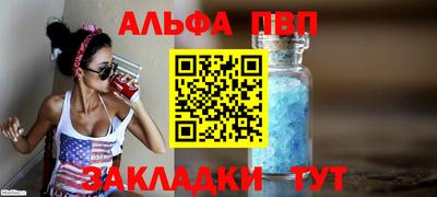 индика Можга
