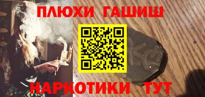 индика Можга