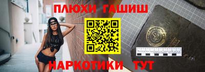 индика Можга