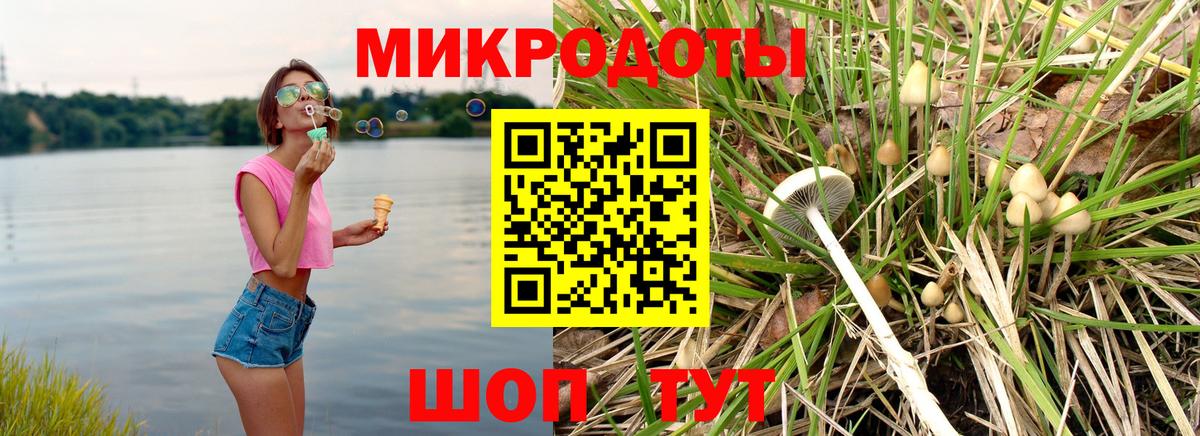 Белая Калитва  Псилоцибиновые грибы ЛСД  Вход с VPN 
